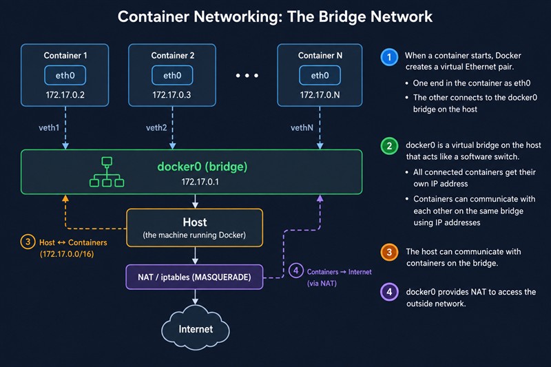 Bridge-сеть Docker: контейнеры с интерфейсами eth0 и адресами 172.17.0.x подключены через veth-пары к мосту docker0 с адресом 172.17.0.1, хост общается с контейнерами, выход в интернет идёт через NAT и iptables MASQUERADE