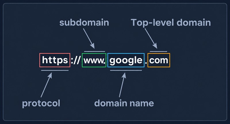 Структура URL на примере https://www.google.com: протокол https, поддомен www, доменное имя google и домен верхнего уровня com